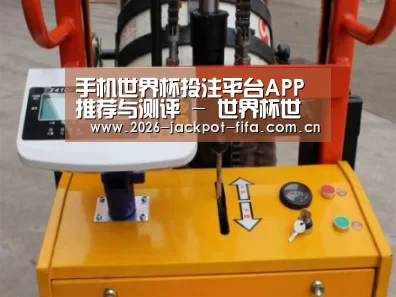 投注app案例展示三(图1)